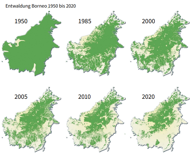 13_Indonesien_Borneo_Entwaldung